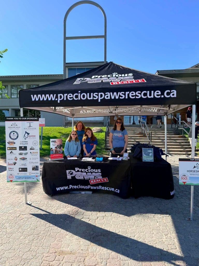 Psychology for Life sponsoring Precious Paws Dog Rescue Fore the Dogs golf tournament in Ontario.